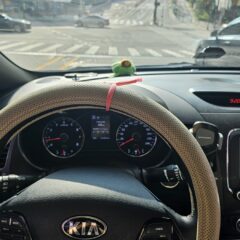 야간 운전 진짜 무서웠어요