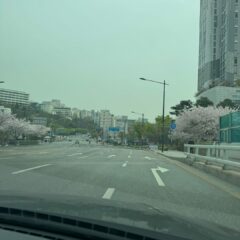 차간 거리 유지하기