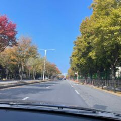 광주 도심 운전 어려웠어요