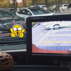 안전 팁 많이 알려줘요