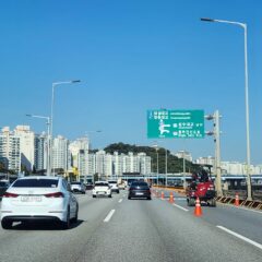 드라이브 공포 극복했어요!